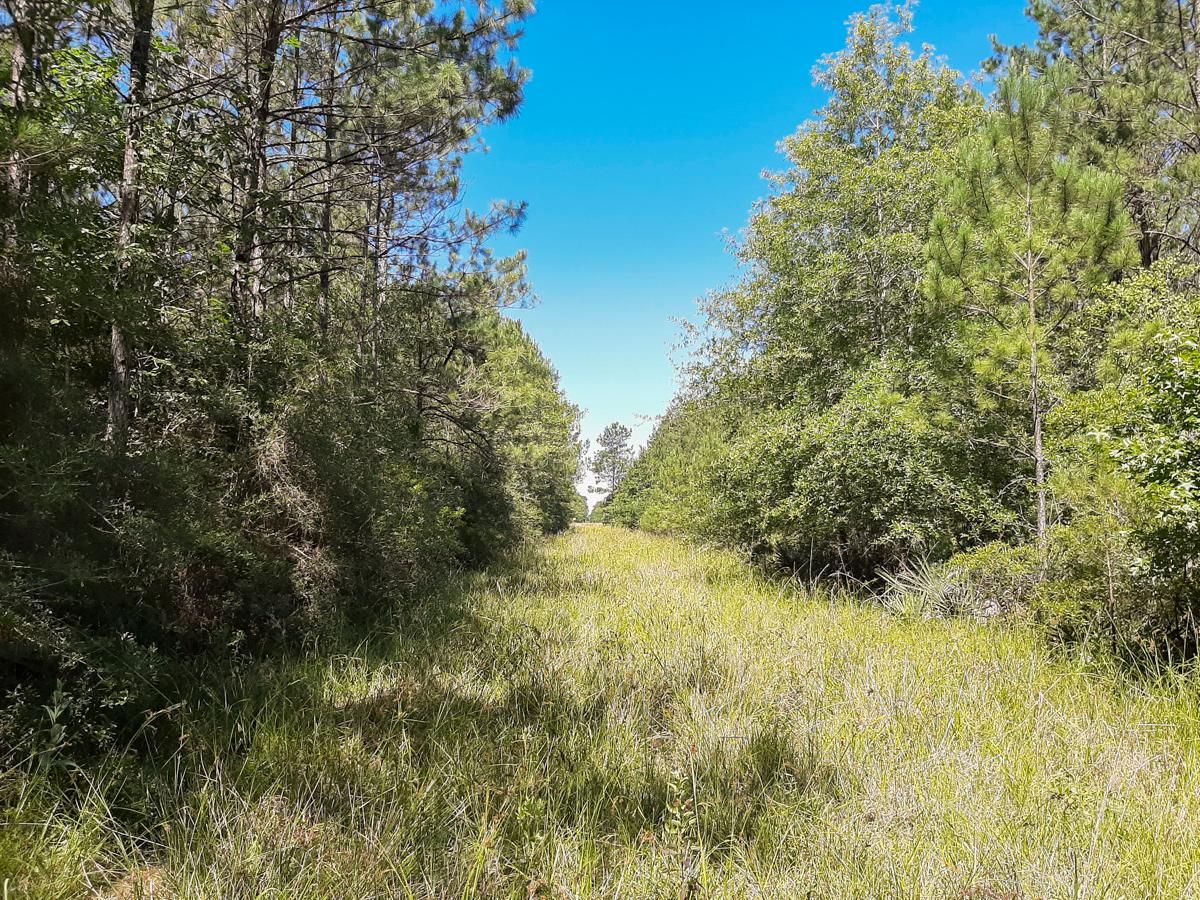 Devers, Liberty County, TX Recreational Property, Timberland Property