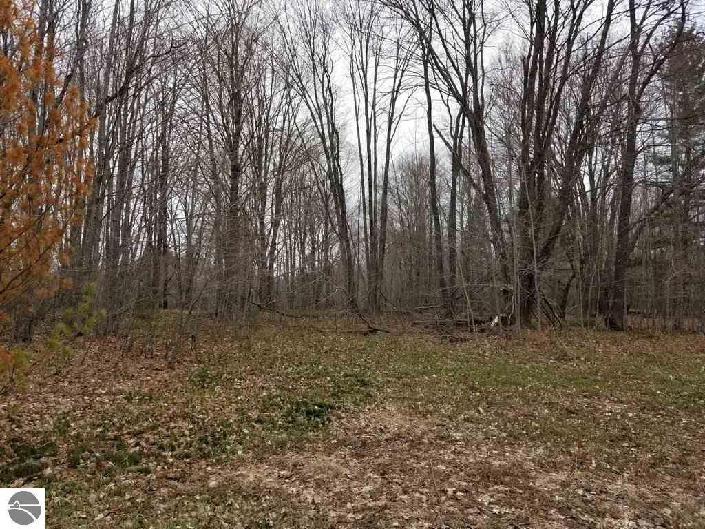 Kalkaska, Kalkaska County, MI Undeveloped Land for sale Property ID