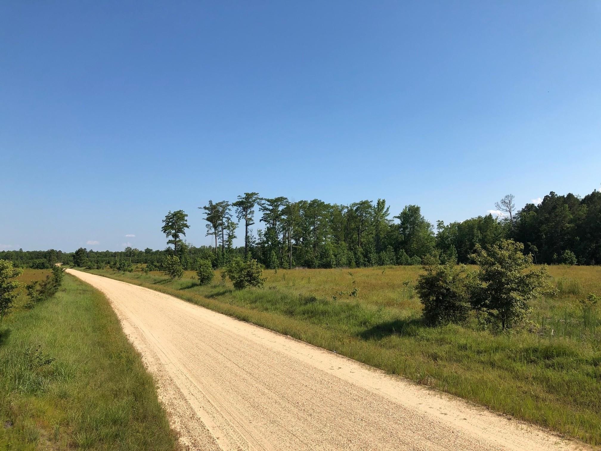 Bradley 5th Road South, Hermitage, AR 71647 LandWatch