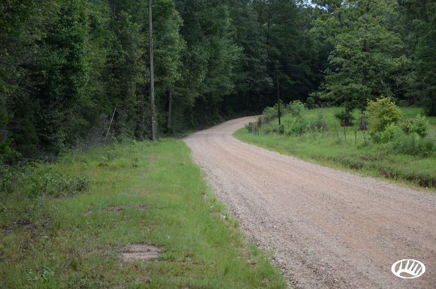 Greensburg, Saint Helena Parish, LA Recreational Property, Timberland