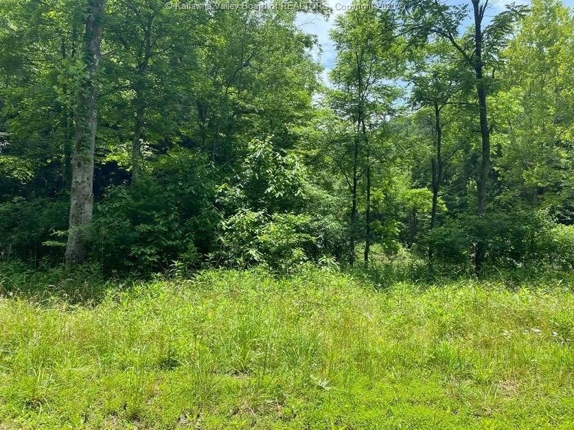 Bomont, Clay County, WV Undeveloped Land, Lakefront Property