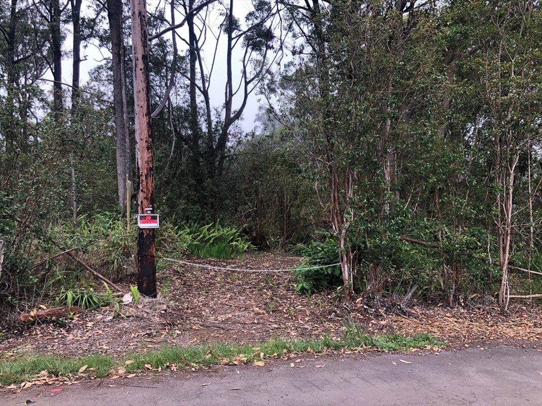 Honokaa, Hawaii County, HI Undeveloped Land for sale Property ID