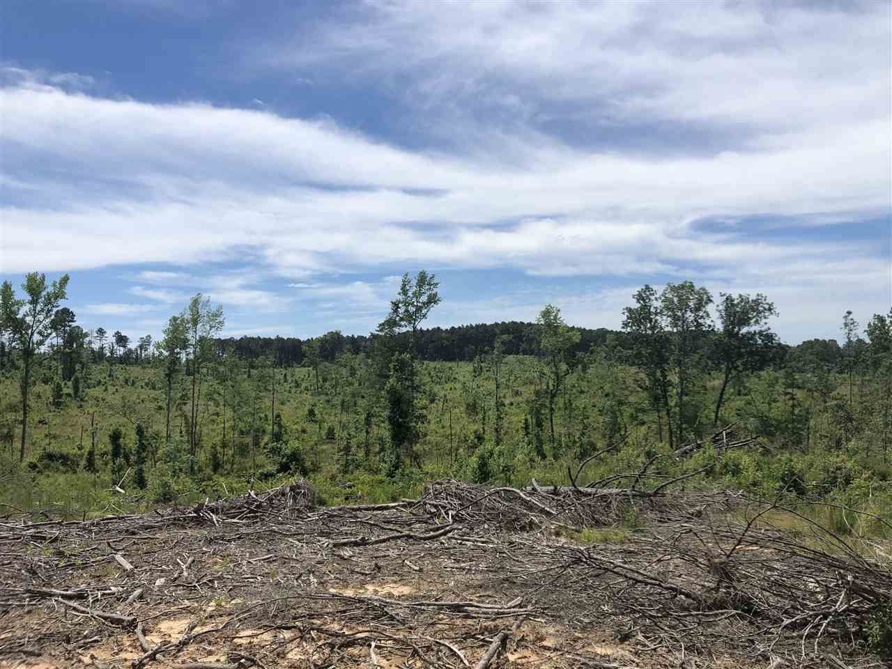 Sallis, Attala County, MS Undeveloped Land for sale Property ID