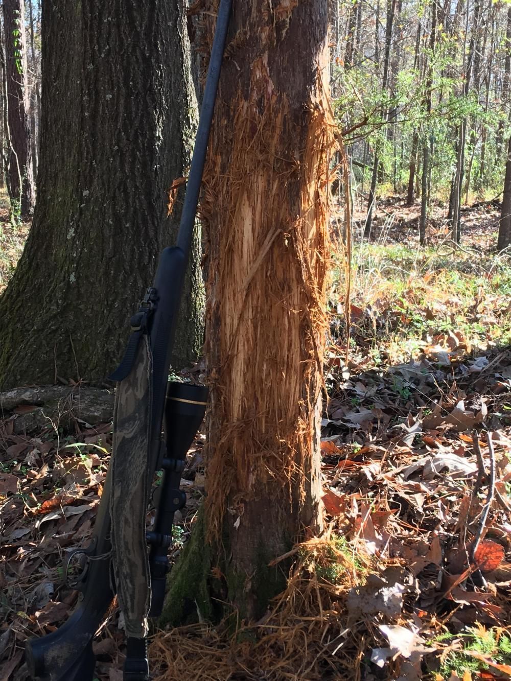 Woodville, Wilkinson County, MS Recreational Property, Timberland