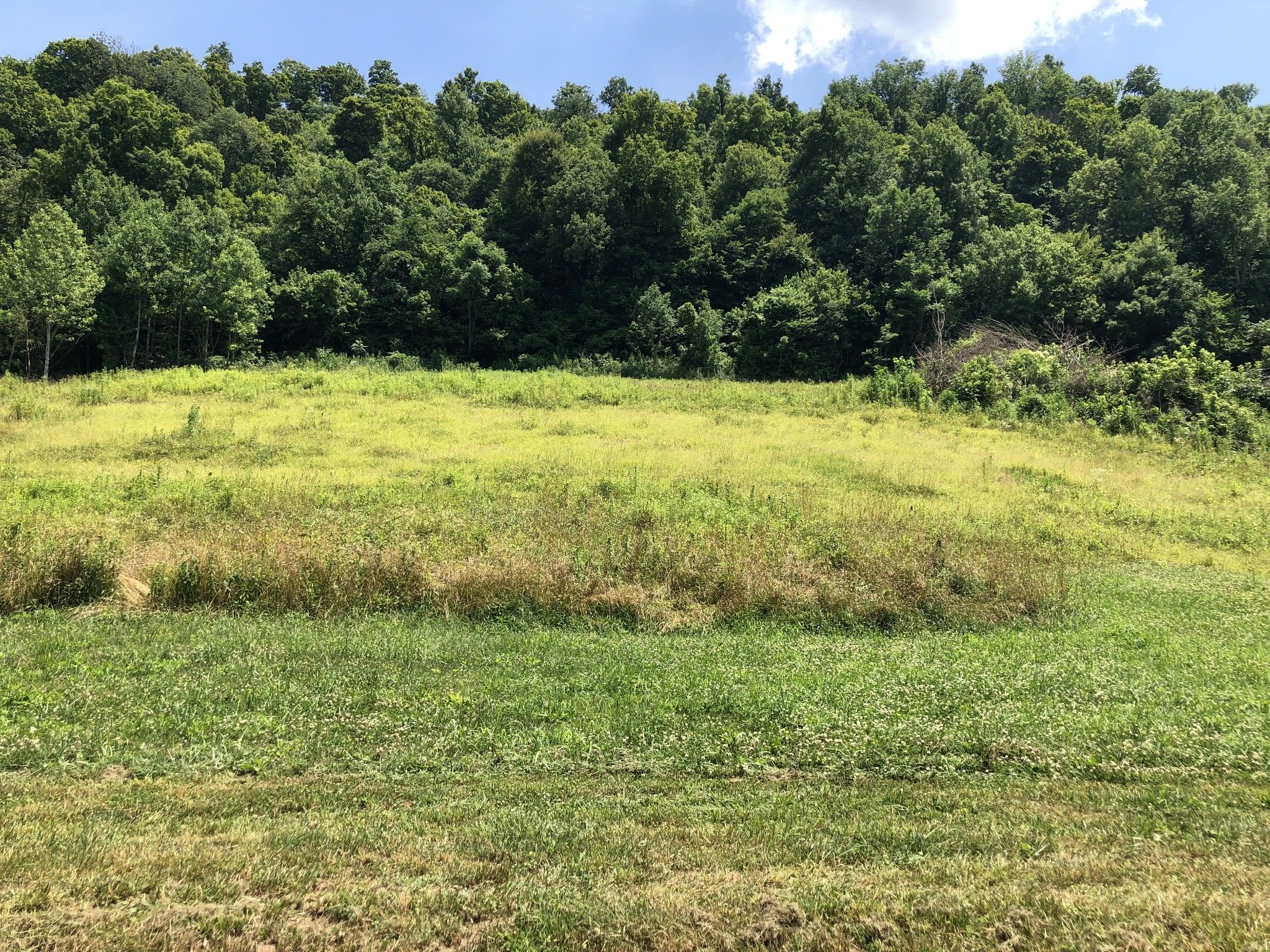 Pleasant Shade, Smith County, TN Undeveloped Land for sale Property ID