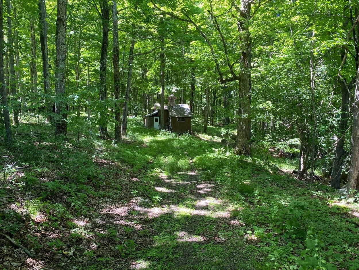 Harpersfield, Delaware County, NY Undeveloped Land for sale Property ID 338449360 LandWatch