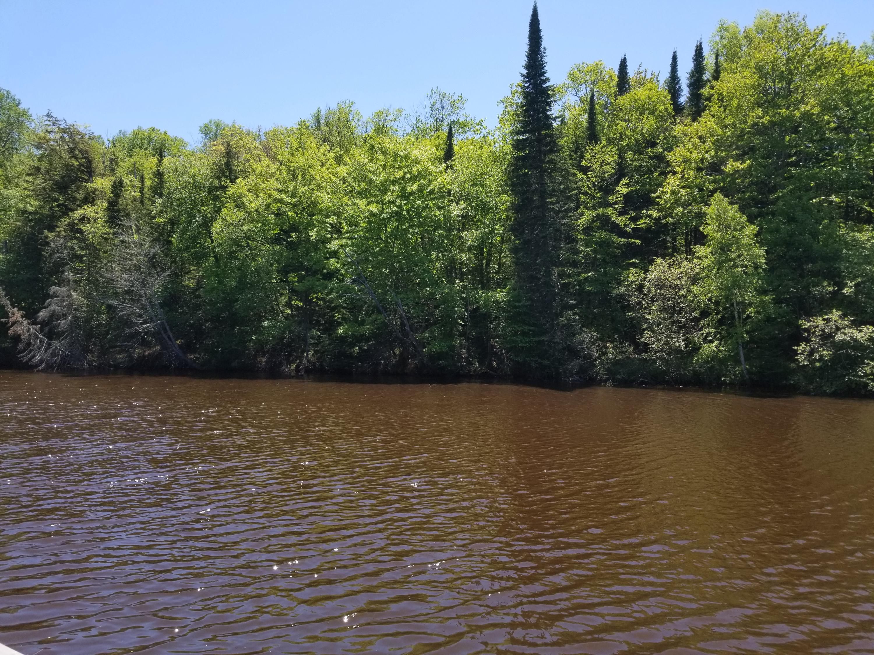 Brimley, Chippewa County, MI Undeveloped Land, Homesites for sale