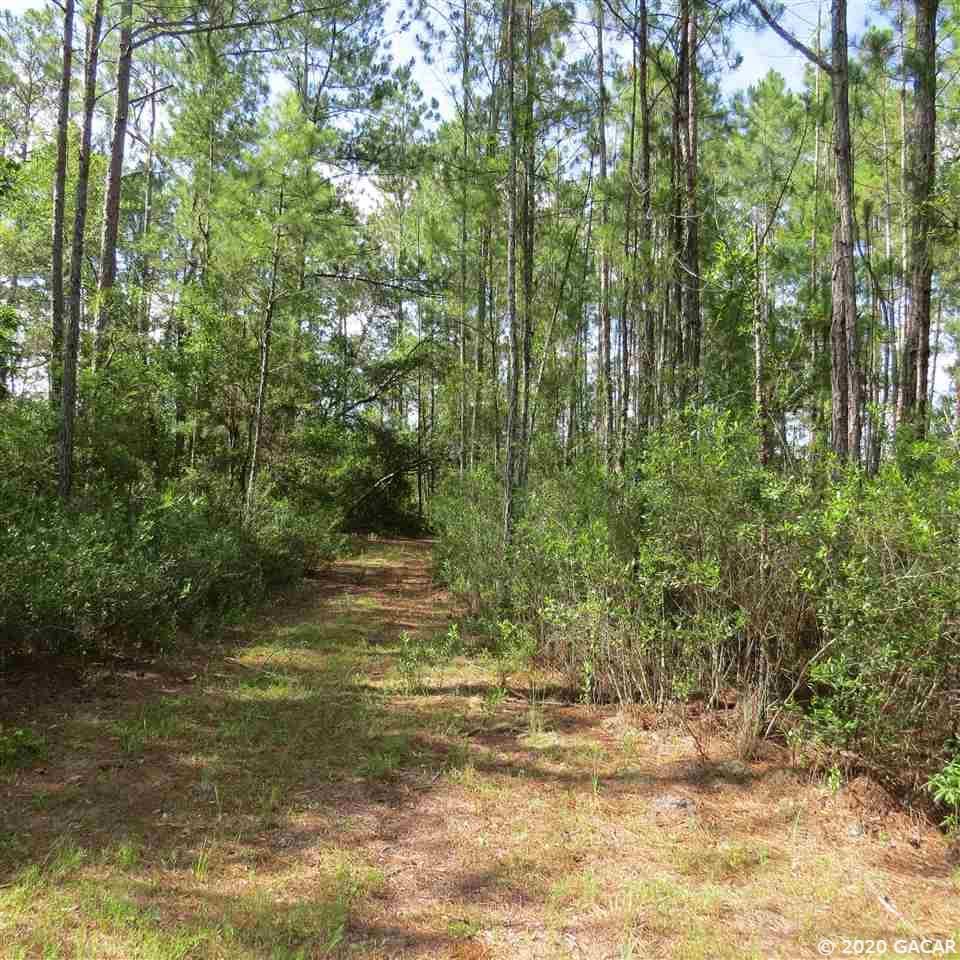 Gainesville, Alachua County, FL Undeveloped Land for sale Property ID