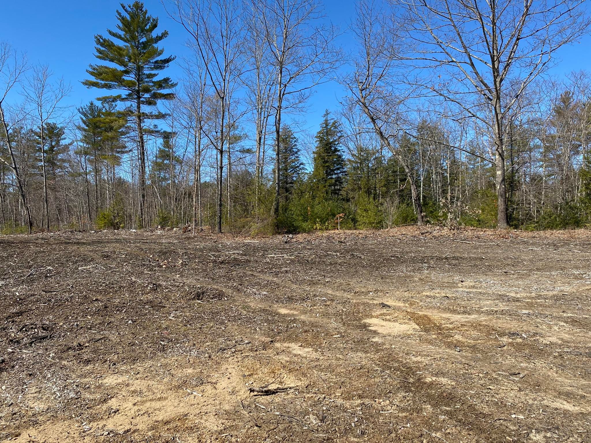 Hollis Center, York County, ME Undeveloped Land for sale Property ID