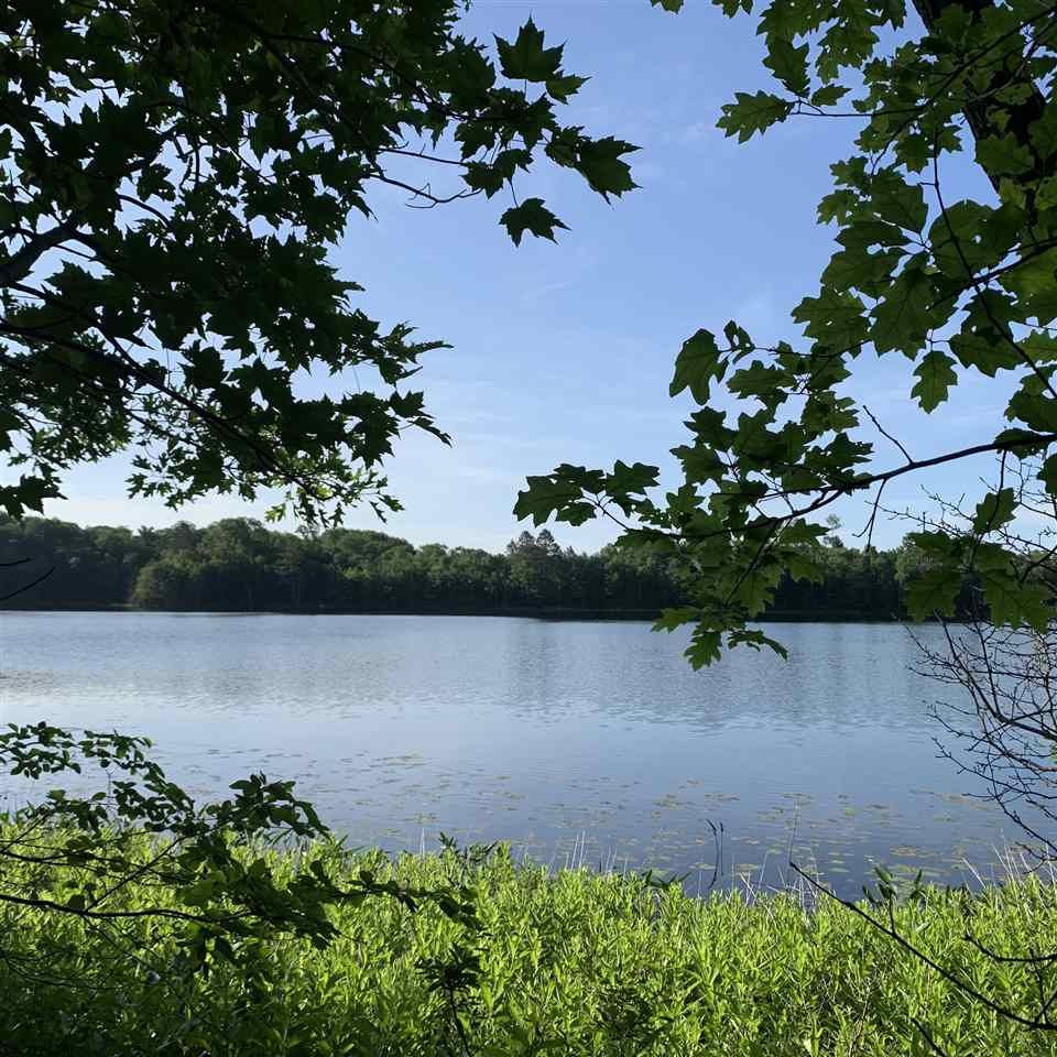 Harshaw, Oneida County, WI Undeveloped Land, Lakefront Property