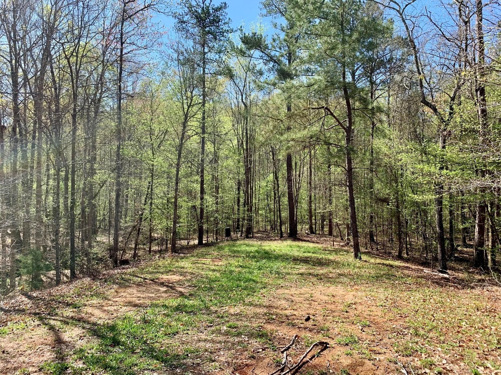 Talladega, Talladega County, AL Recreational Property, Timberland Property, Hunting Property for