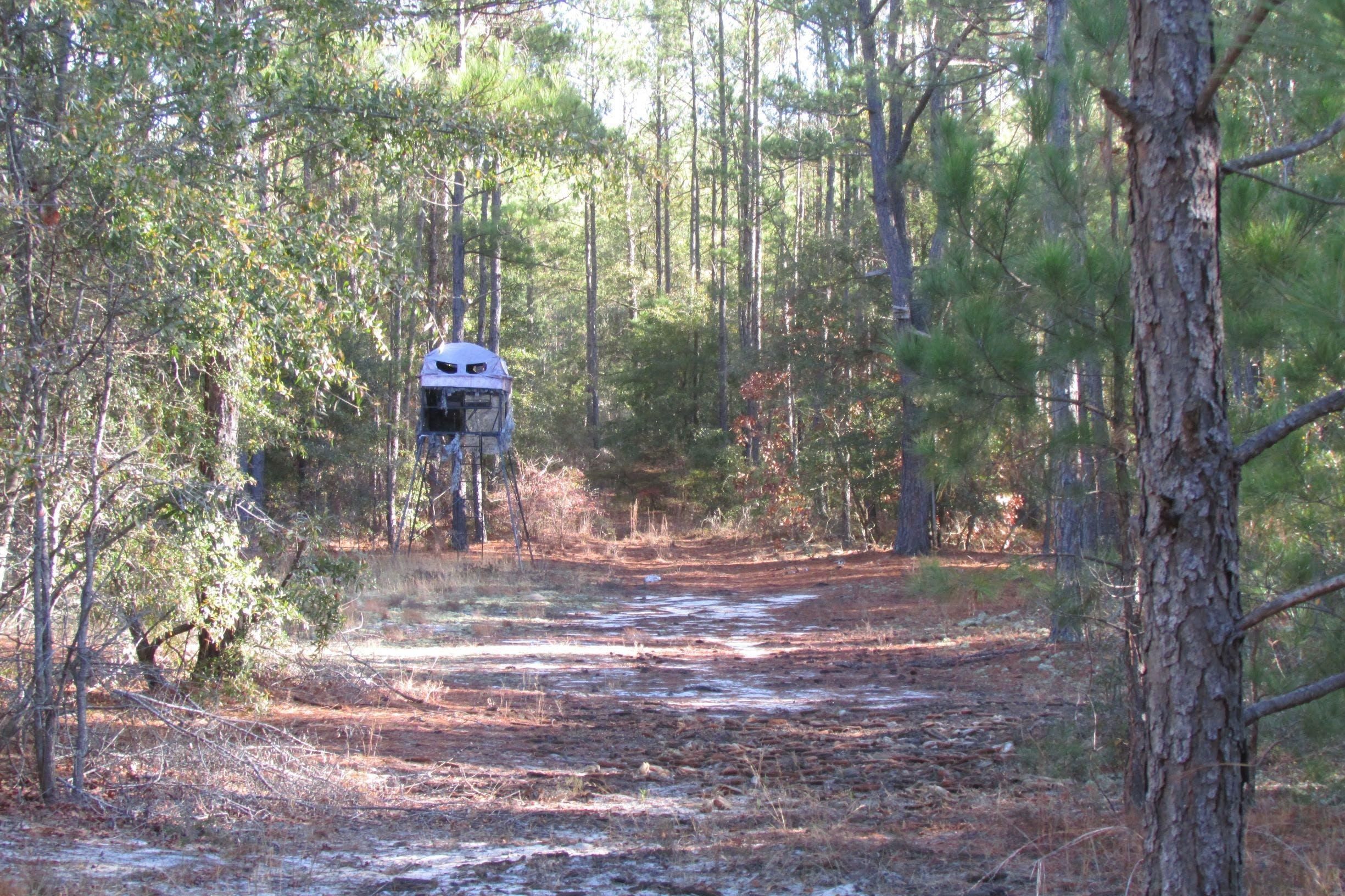 Mayesville, Lee County, SC Timberland Property for sale Property ID