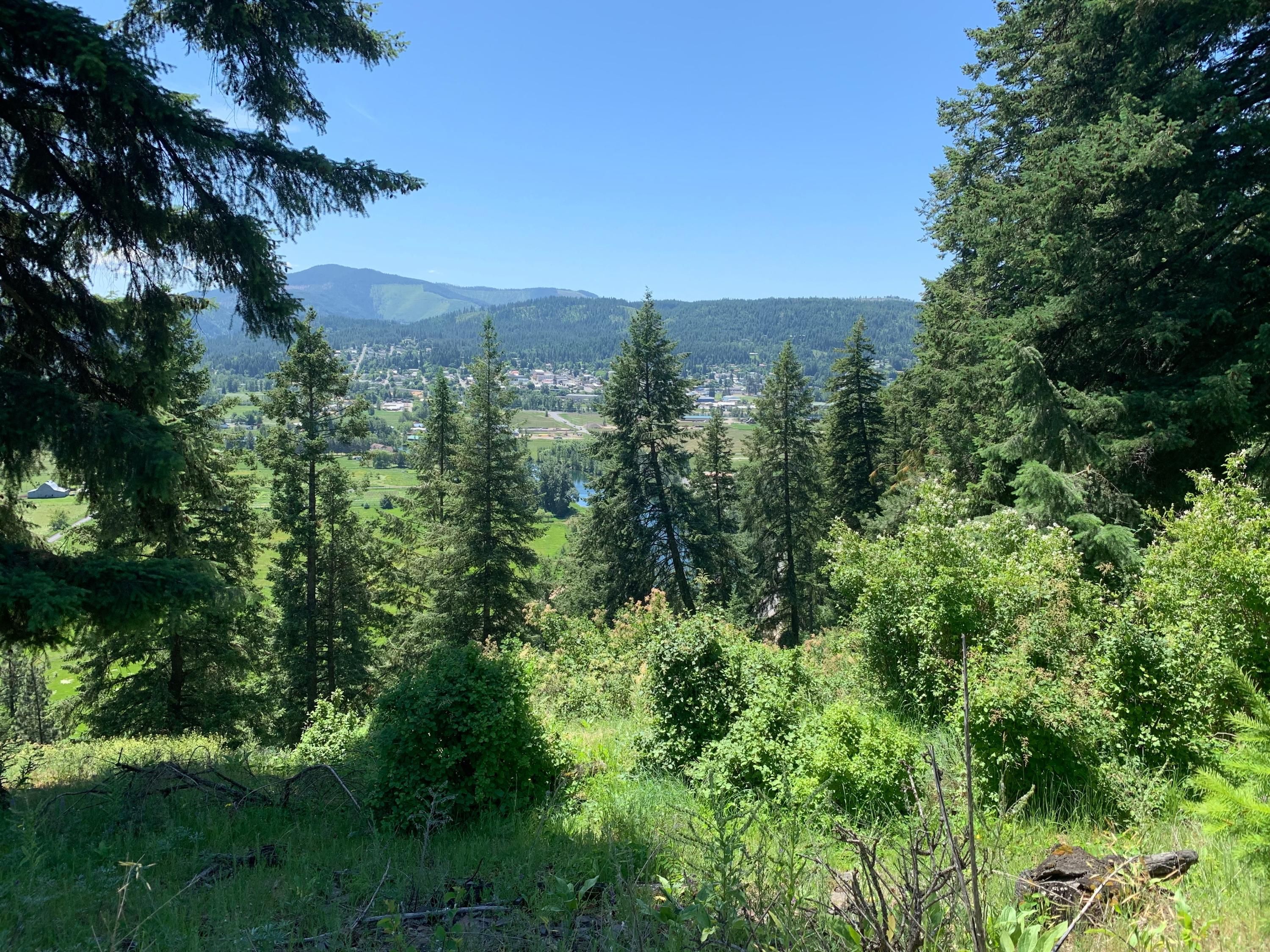 Saint Maries, Benewah County, ID Undeveloped Land for sale Property ID