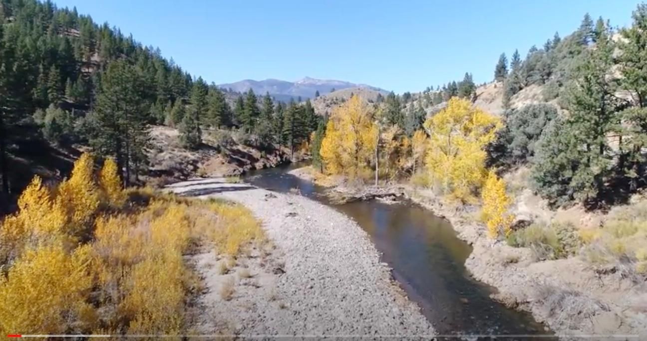 40 acres in Markleeville, CA, 96120 LandWatch