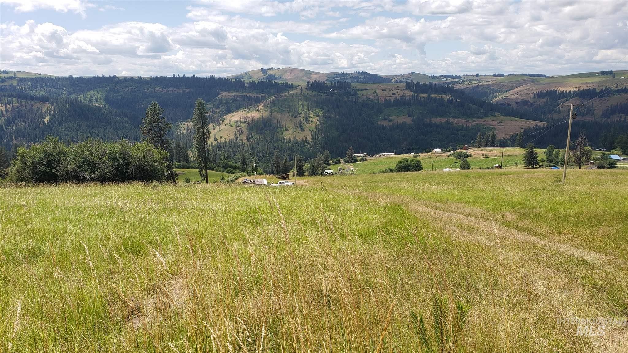 Harpster, Idaho County, ID Undeveloped Land for sale Property ID