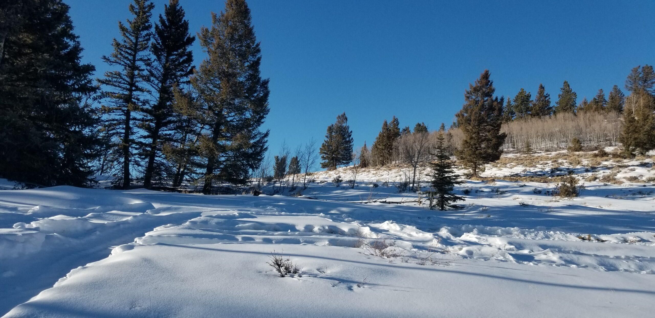 Powderhorn, Gunnison County, CO Undeveloped Land, Homesites for sale