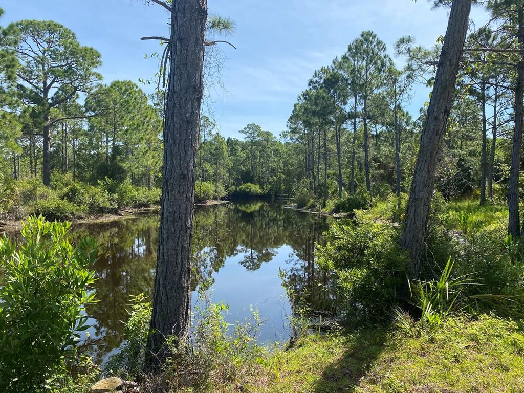 Cedar Key, Levy County, FL Undeveloped Land, Lakefront Property