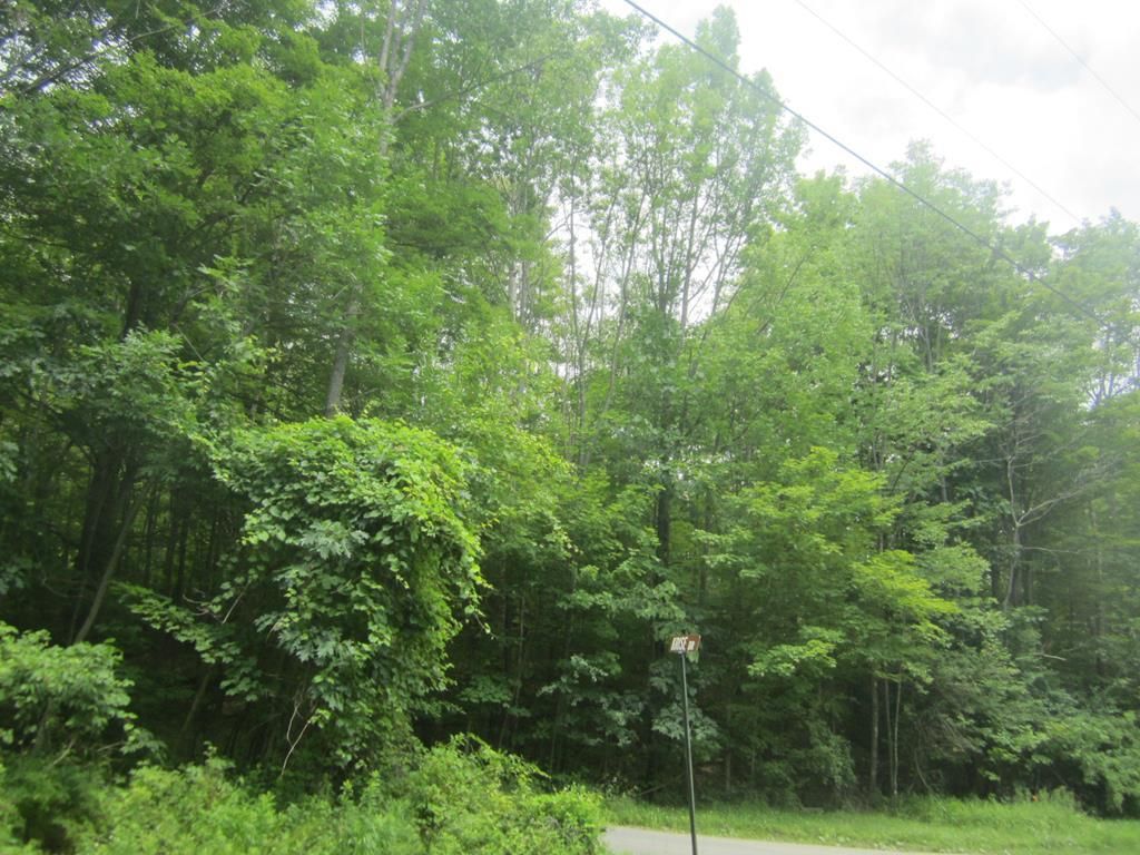 Gillett, Bradford County, PA Recreational Property, Undeveloped Land