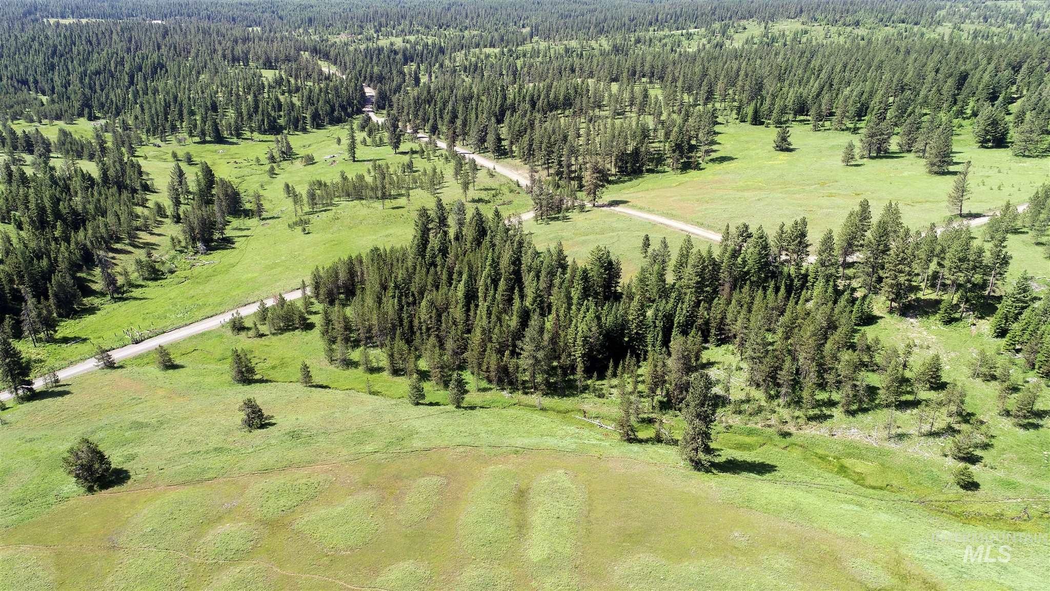 Winchester, Lewis County, ID Undeveloped Land for sale Property ID