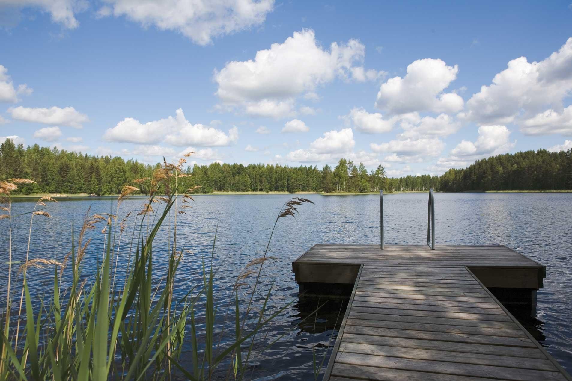 Fannin County, GA Recreational Property, Lakefront Property