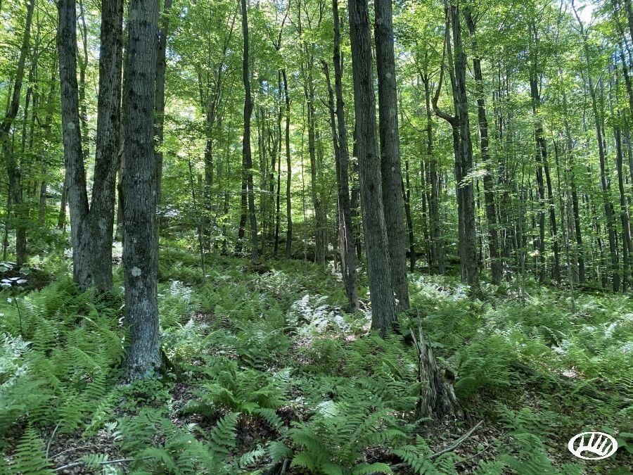 Clermont, McKean County, PA Farms and Ranches for sale Property ID