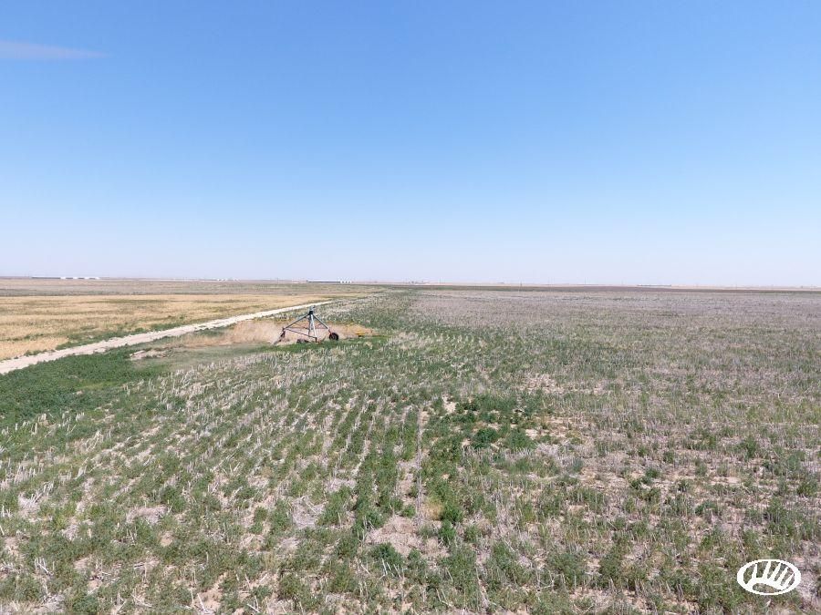 Guymon, Texas County, OK Farms and Ranches for sale Property ID