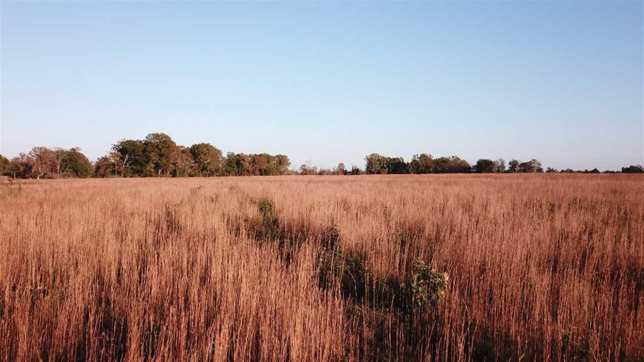 Enola, Faulkner County, AR Farms and Ranches, Recreational Property