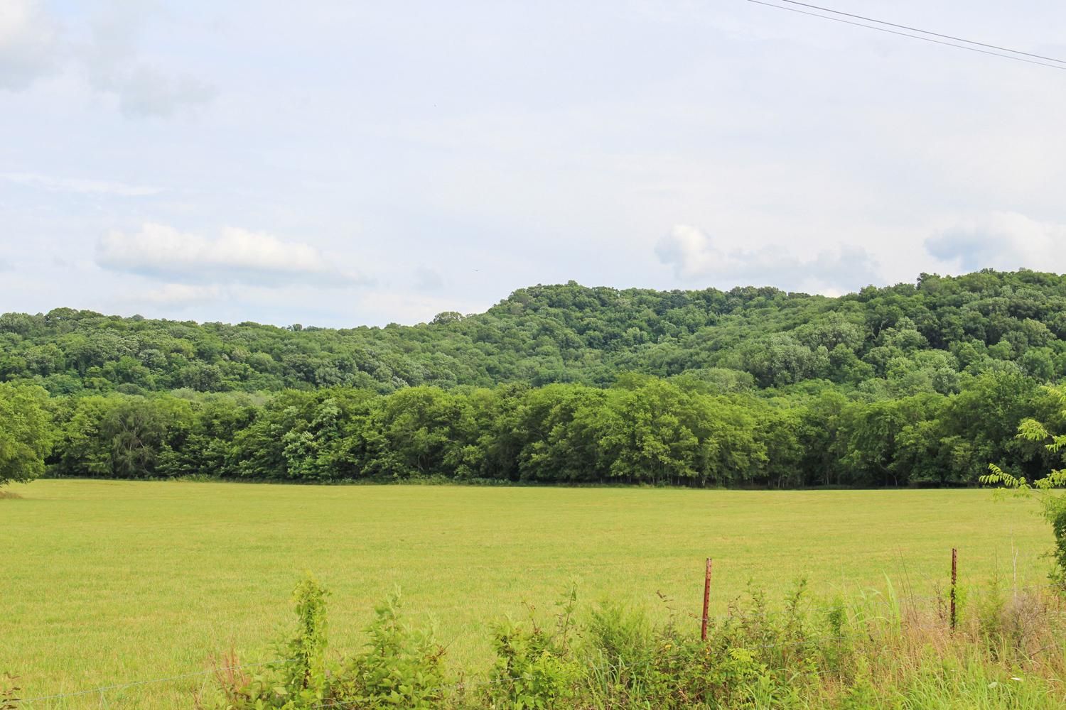 Christiana, Rutherford County, TN Recreational Property, Undeveloped