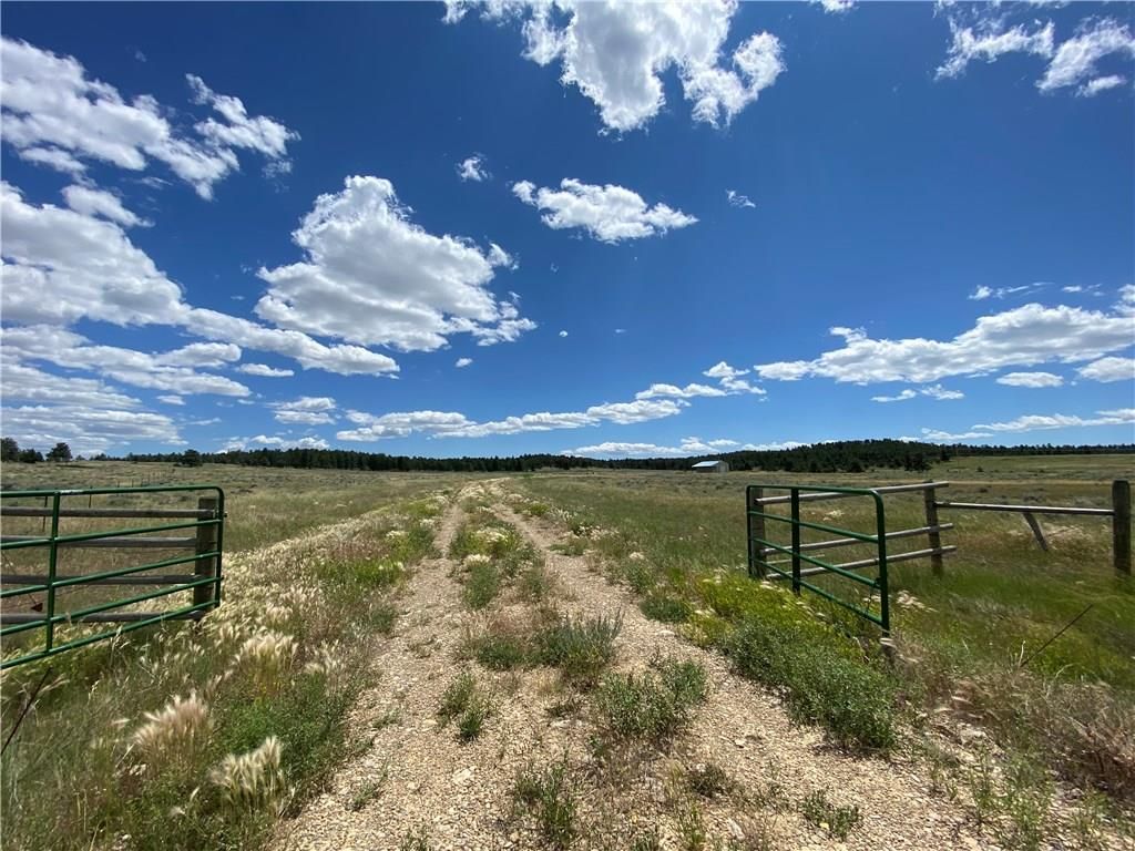 Grass Range, Fergus County, MT Undeveloped Land for sale Property ID