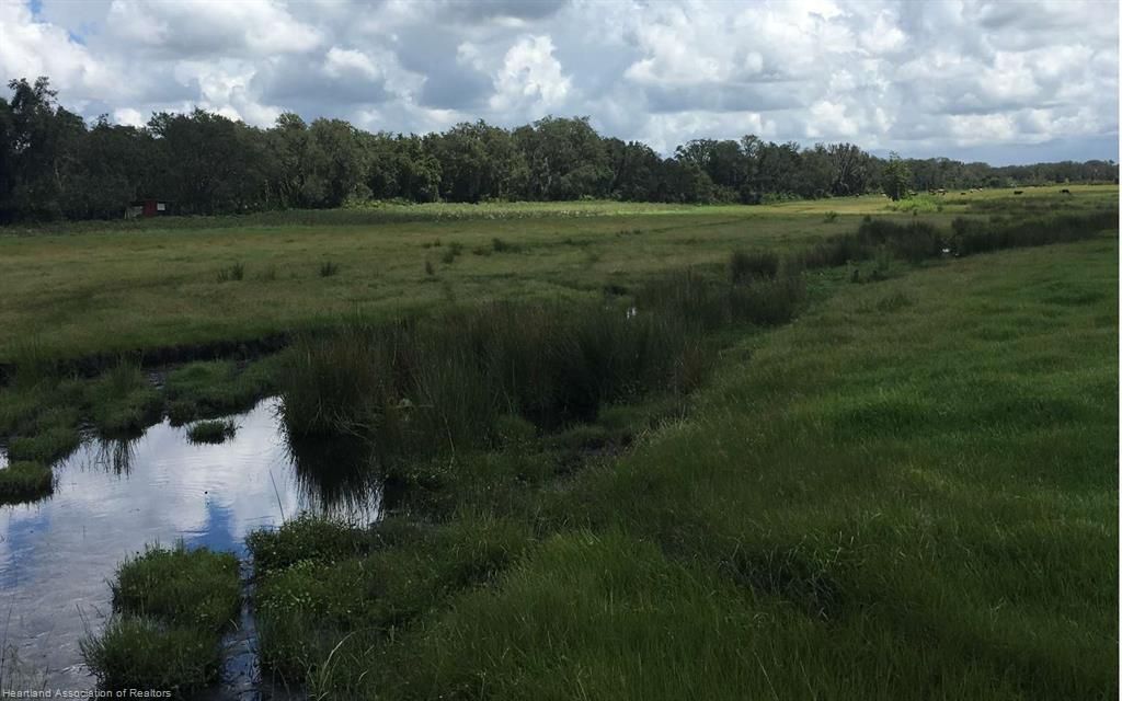 Avon Park, Highlands County, FL Recreational Property, Hunting Property for sale Property ID