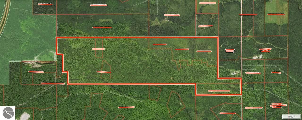 Pickford, Chippewa County, MI Undeveloped Land, Lakefront Property