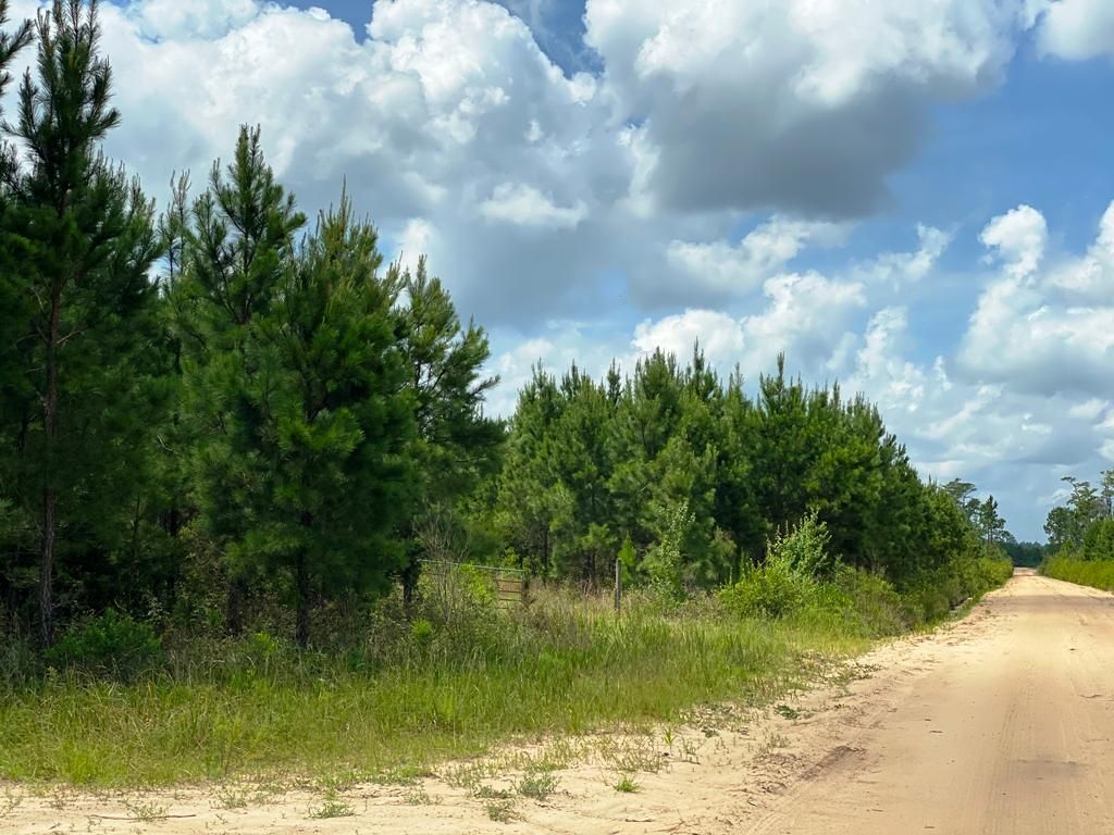 Waycross, Ware County, GA Recreational Property, Timberland Property