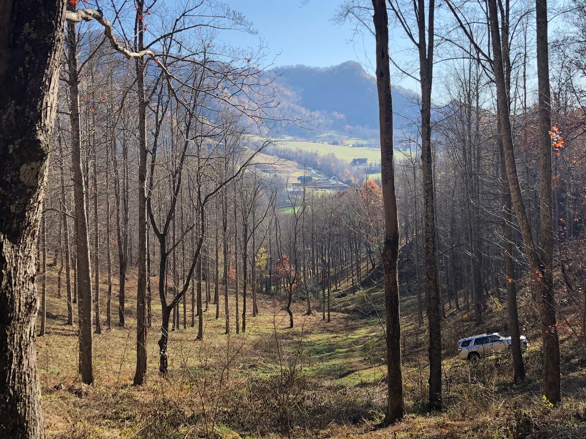 Clyde, Haywood County, NC Farms and Ranches, Horse Property for sale