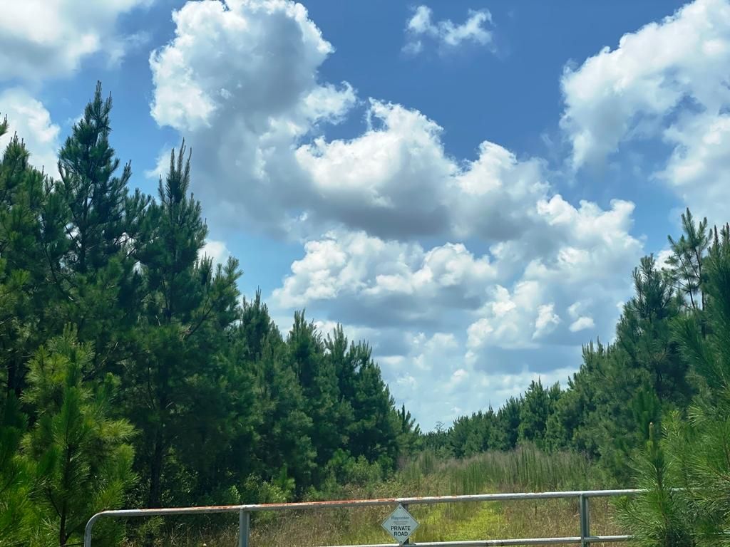 Millwood, Ware County, GA Recreational Property, Timberland Property