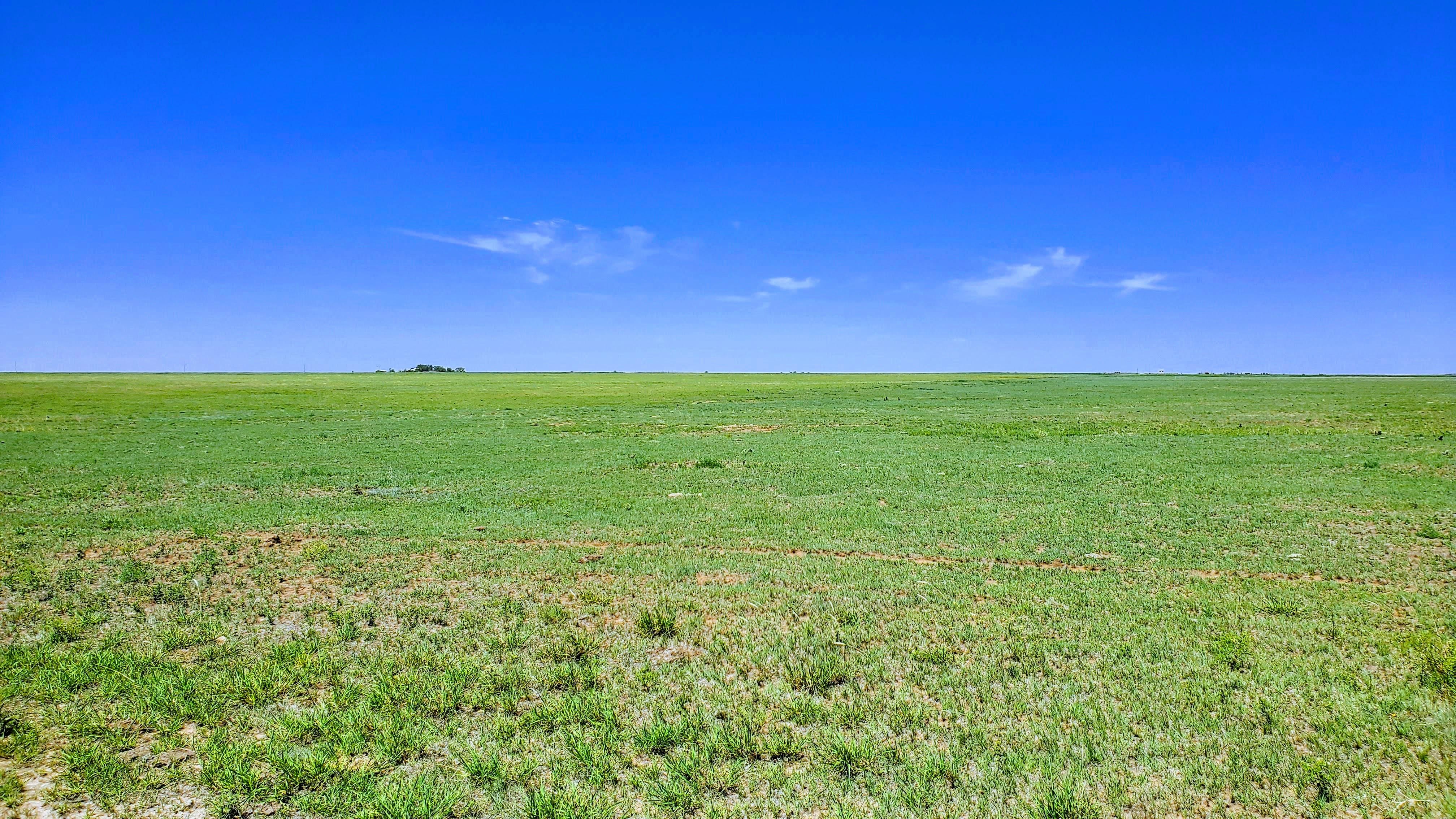 Clayton, Union County, NM Farms and Ranches, Hunting Property, Horse