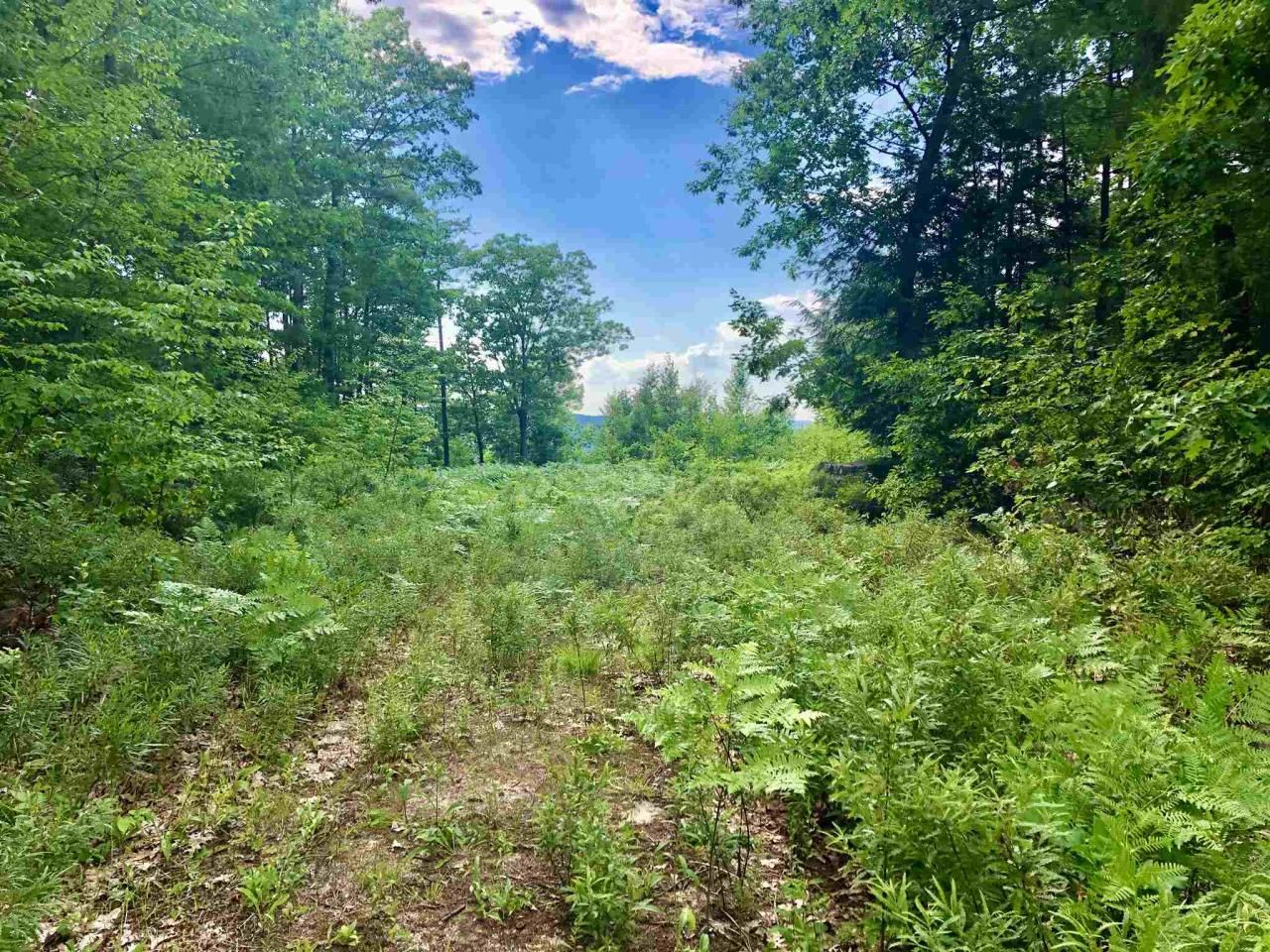 Swanzey, Cheshire County, NH Undeveloped Land, Homesites for sale