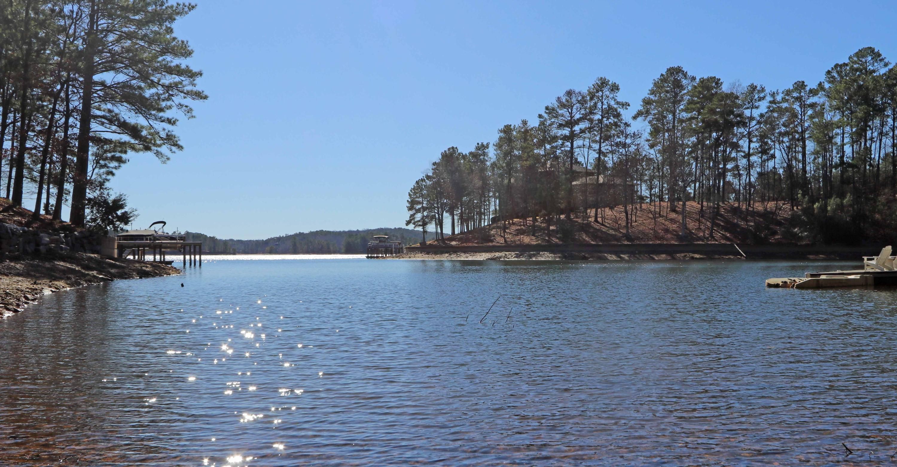Alexander City, Elmore County, AL Recreational Property, Undeveloped