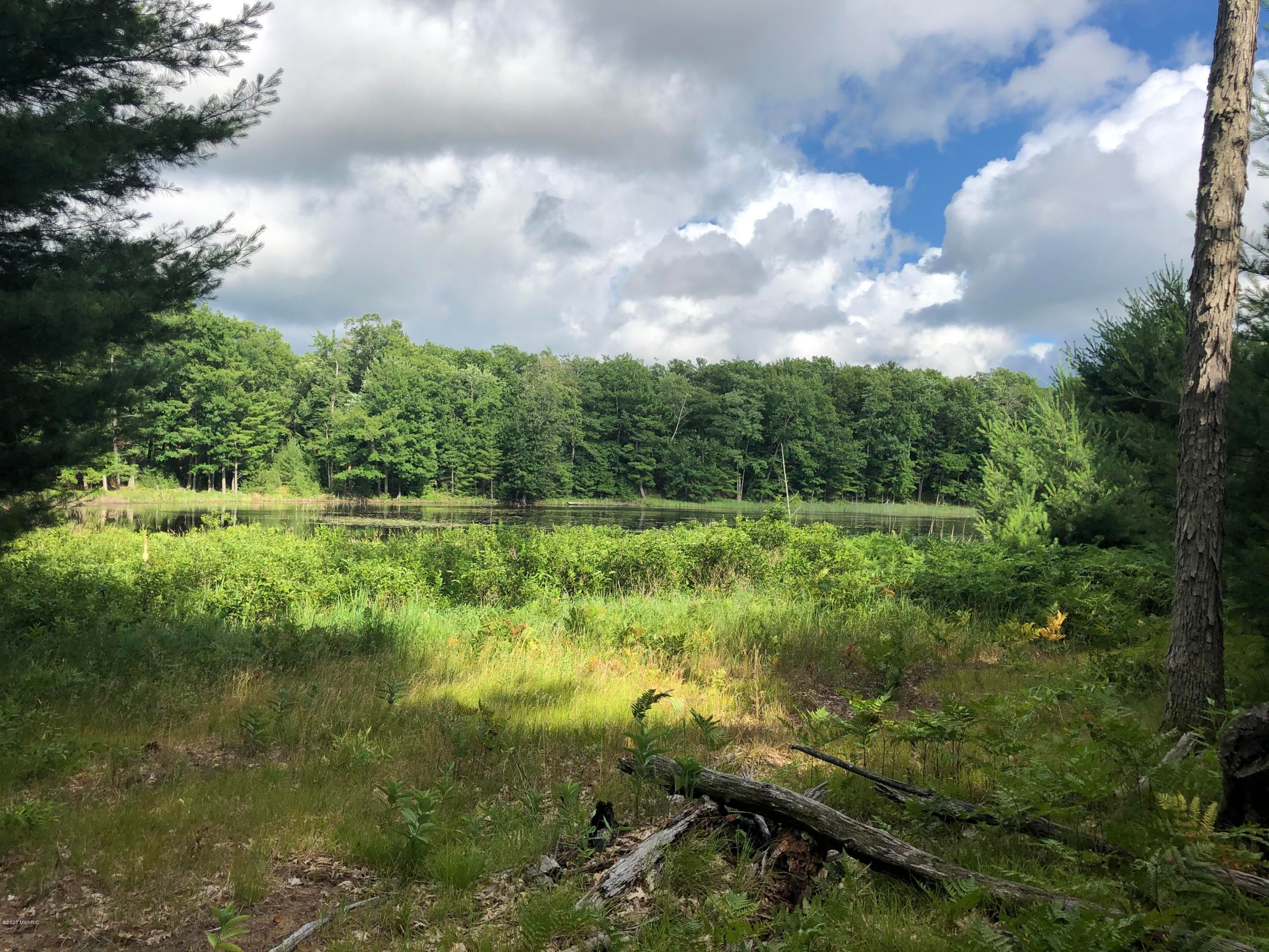 Free Soil, Manistee County, MI Undeveloped Land, Lakefront Property