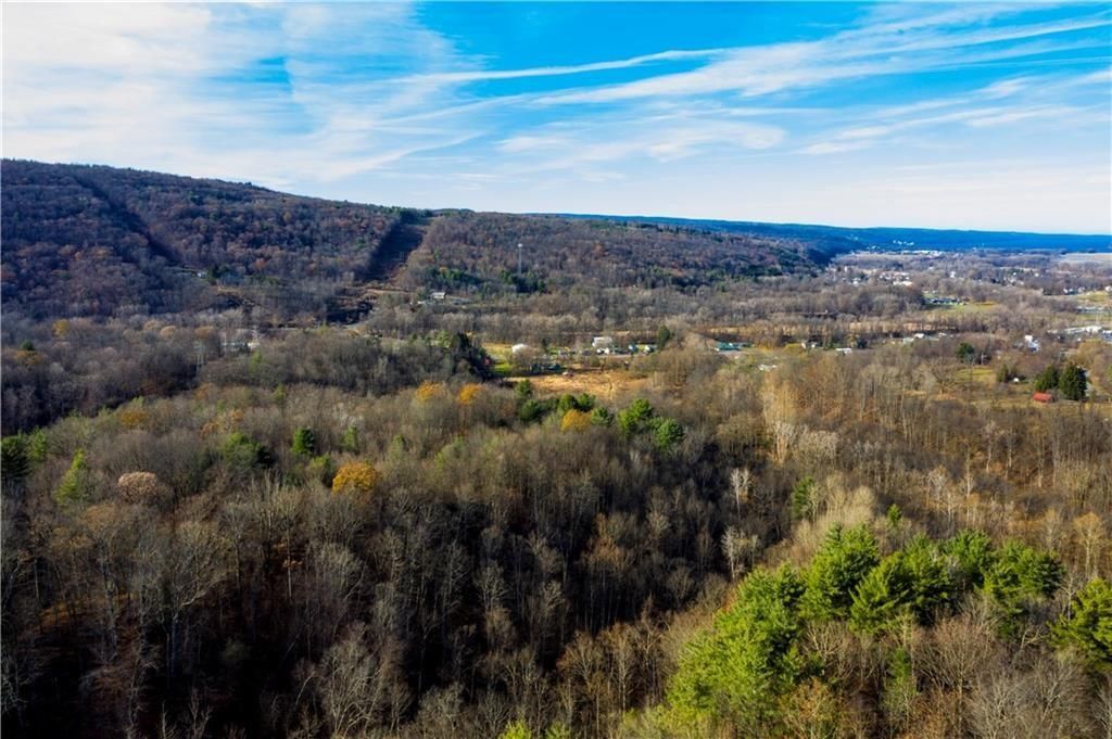 Montour Falls, Schuyler County, NY Undeveloped Land for sale Property