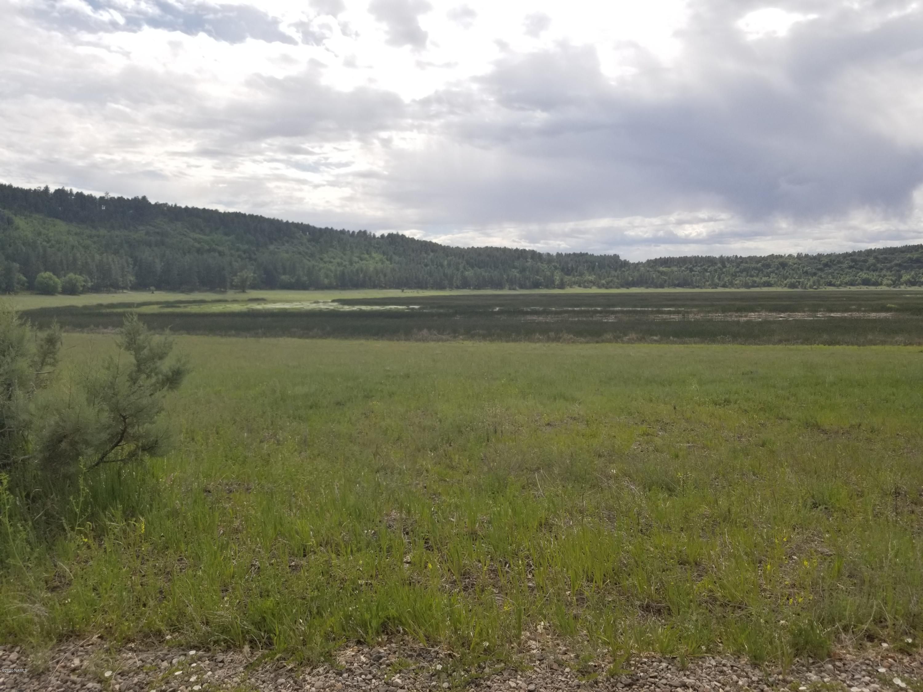 Stoneman Lake, Coconino County, AZ Undeveloped Land, Homesites for sale