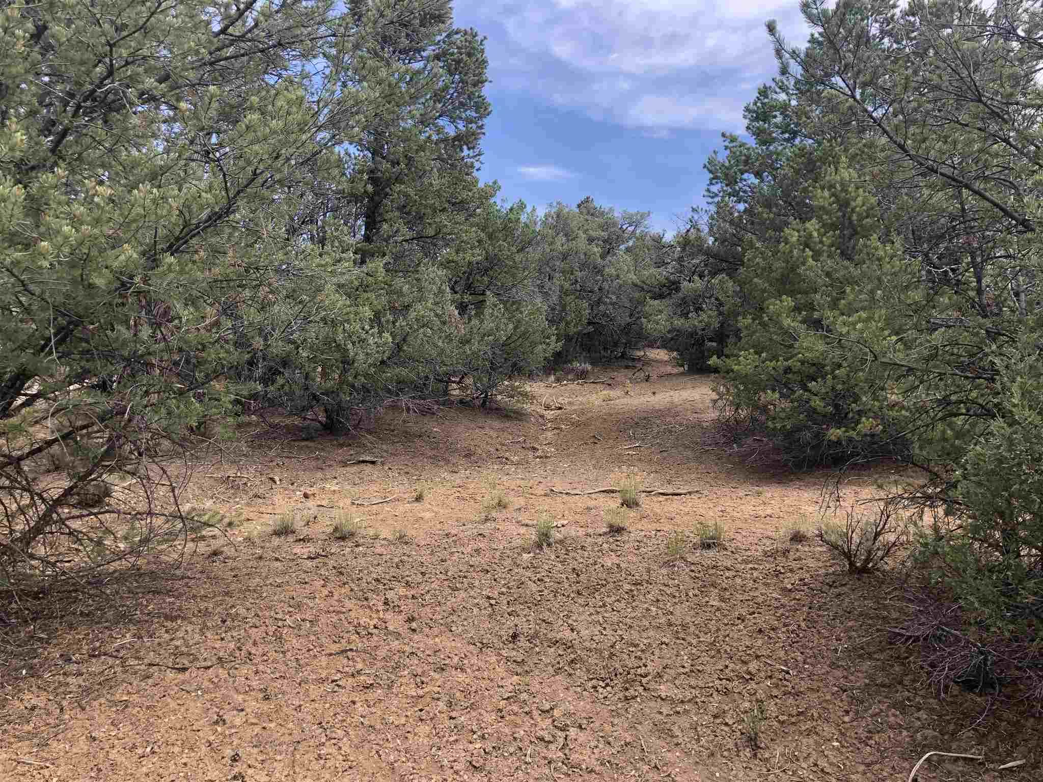 Rutheron, Rio Arriba County, NM Undeveloped Land, Homesites for sale