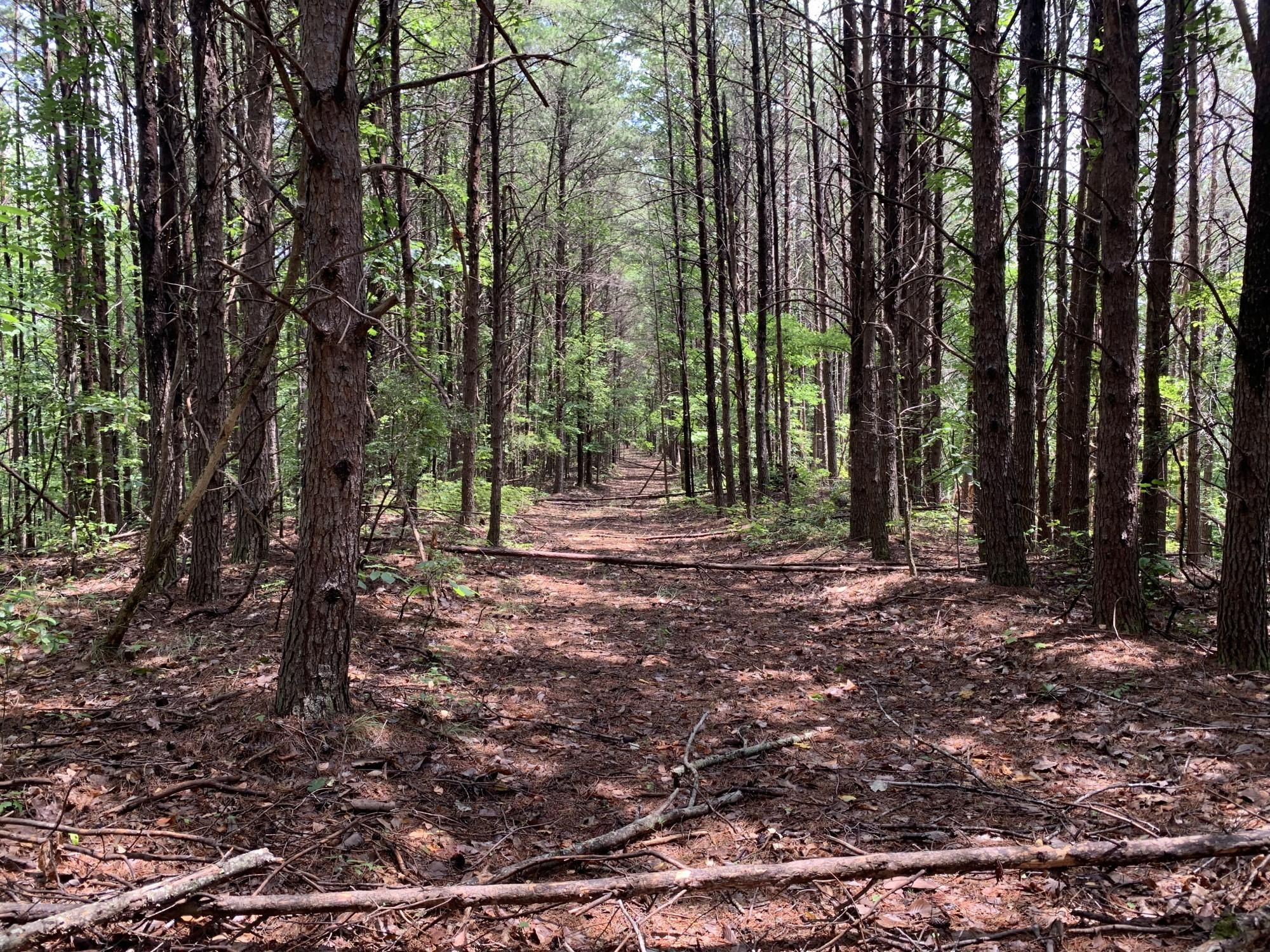 Beech Grove Road, Townley, AL 35587 LandWatch