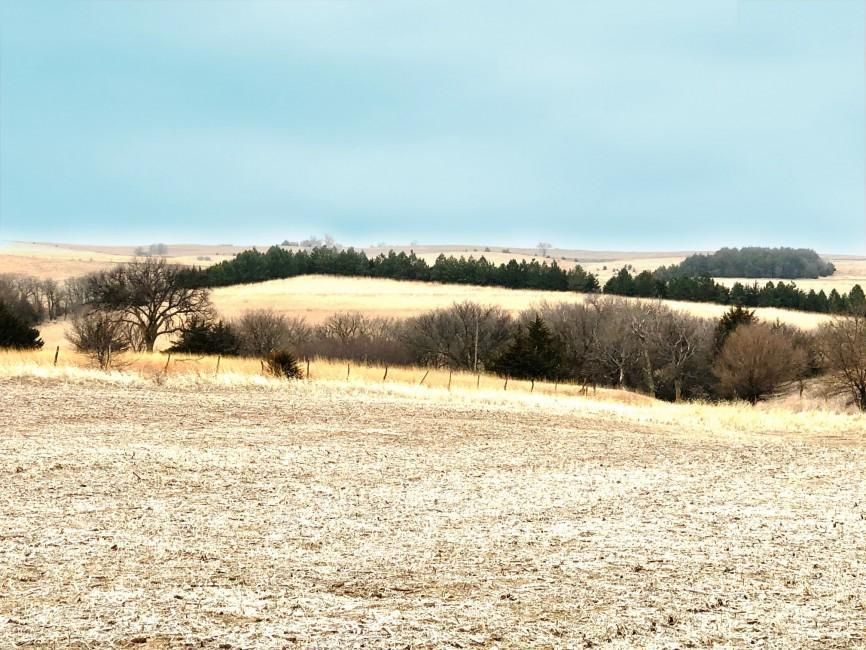 Red Cloud, ster County, NE Farms and Ranches, Recreational Property