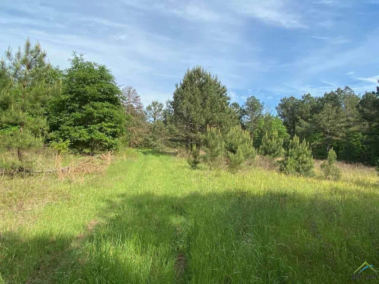 Rusk, Cherokee County, TX Recreational Property, Undeveloped Land for