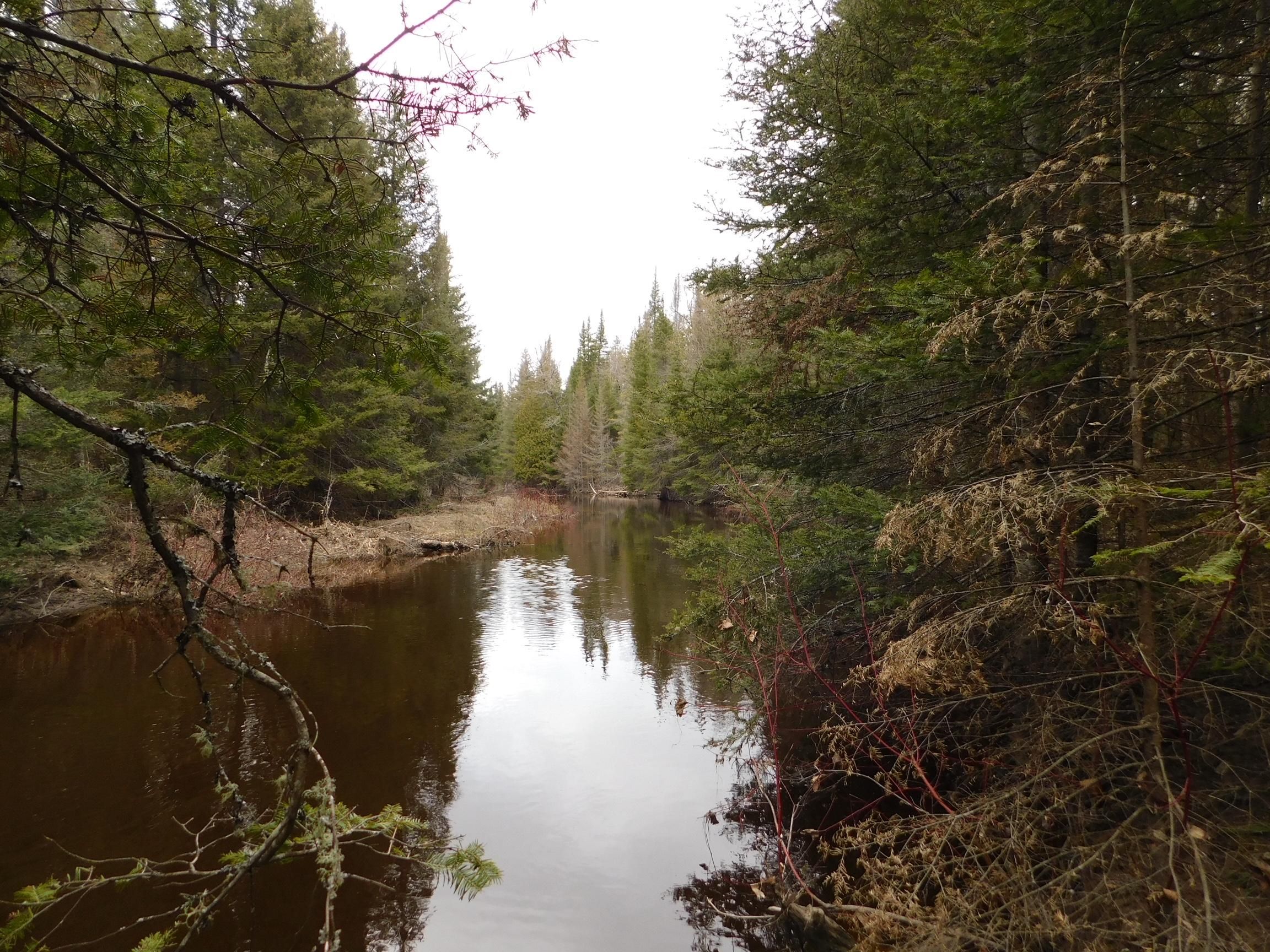 Goetzville, Chippewa County, MI Undeveloped Land for sale Property ID 338632838 LandWatch