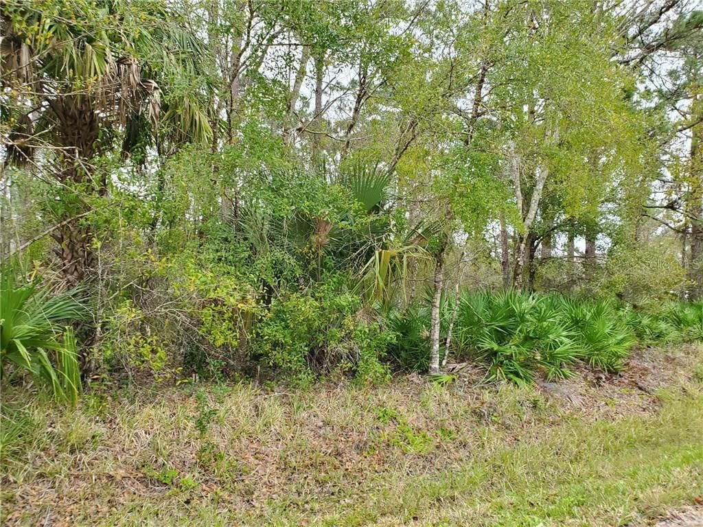 NW 228th Street, Basinger, FL 34972 LandWatch