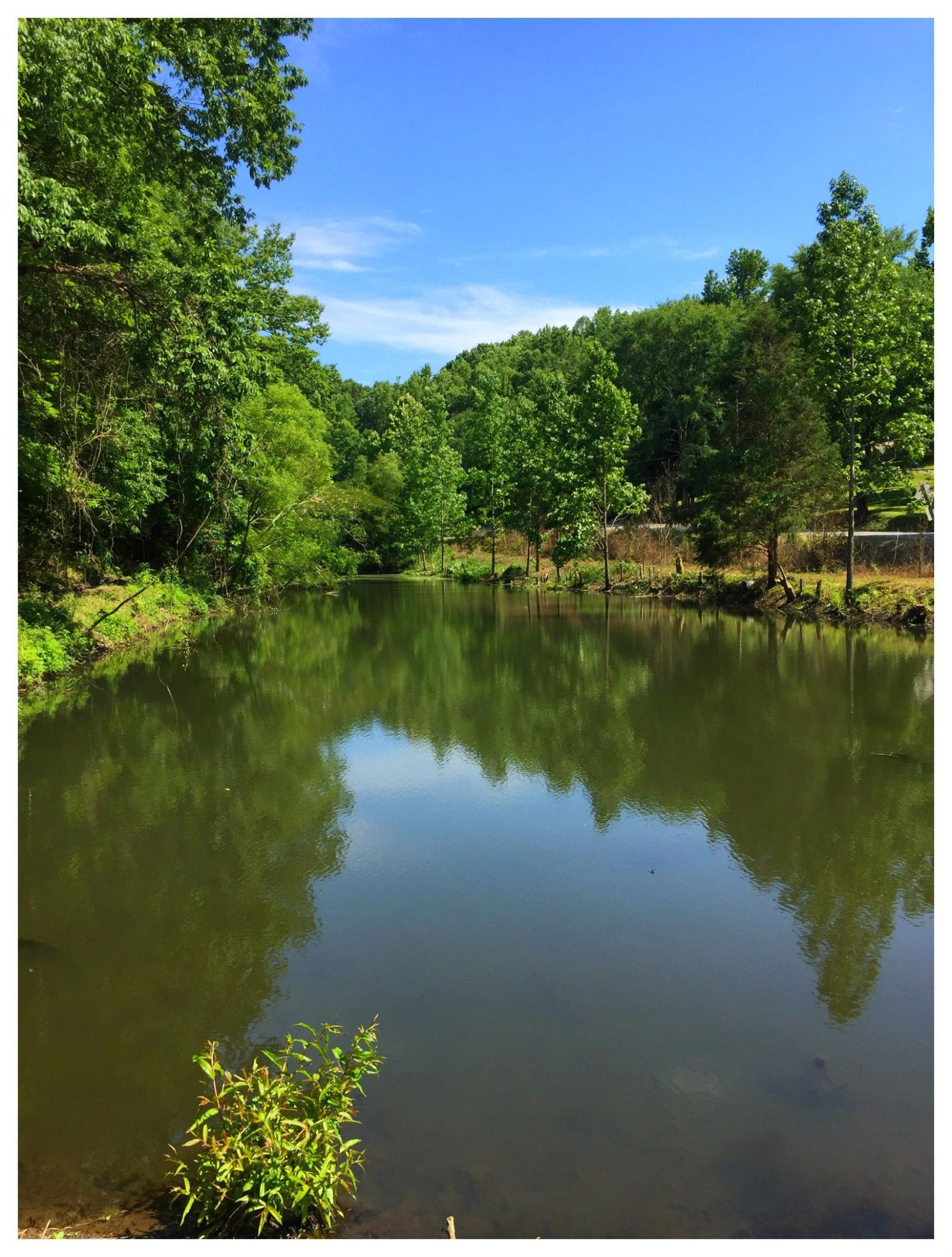 Kingston Springs, Cheatham County, TN Undeveloped Land for sale