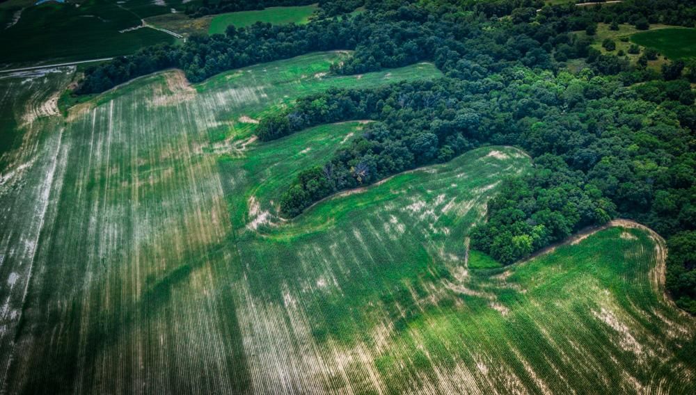 Industry, McDonough County, IL Recreational Property, Hunting Property