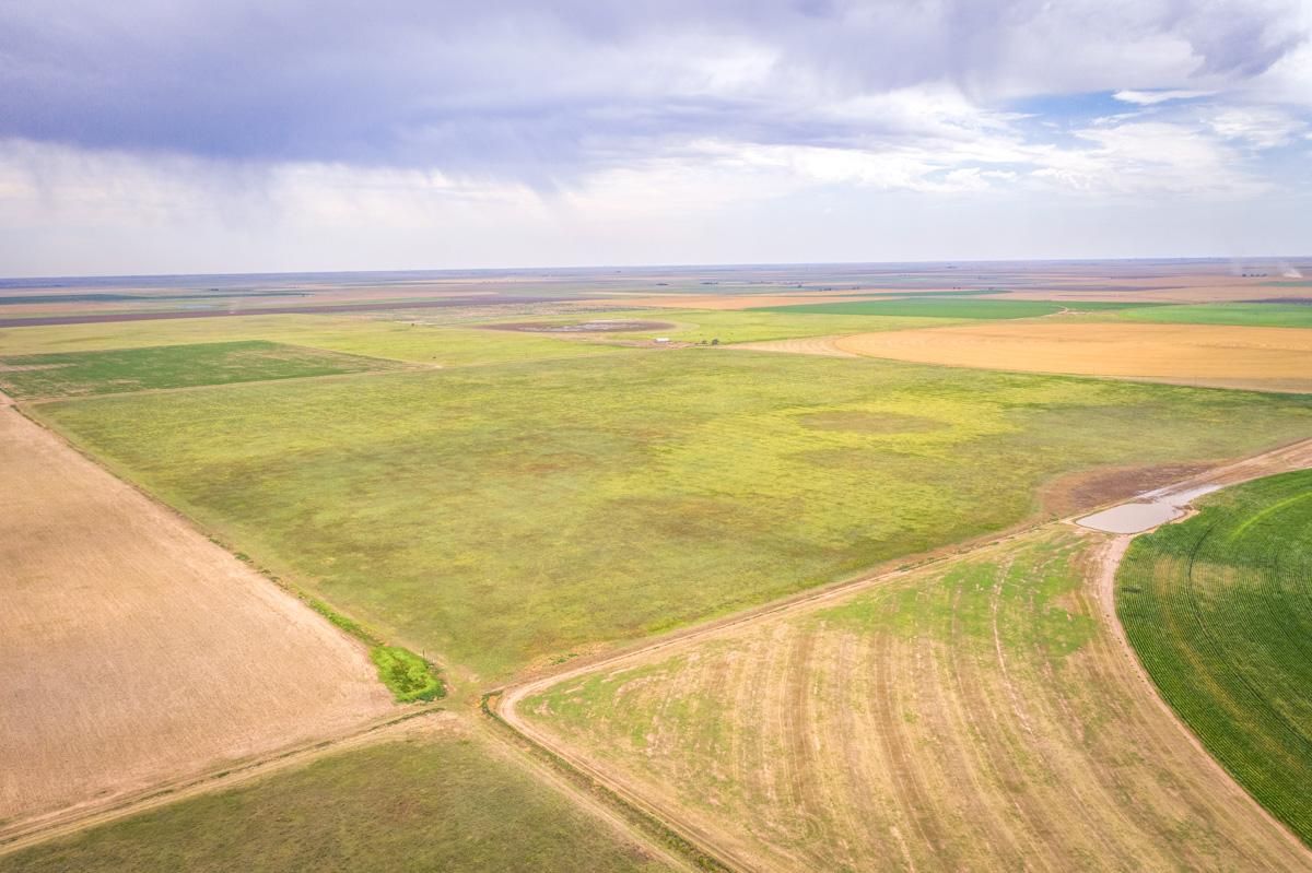 Vigo Park, Swisher County, TX Farms and Ranches for sale Property ID