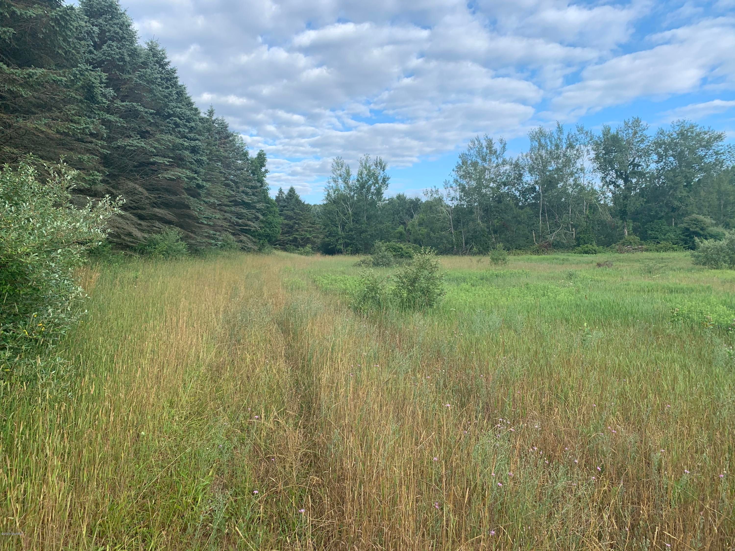 Shelby, Oceana County, MI Undeveloped Land for sale Property ID
